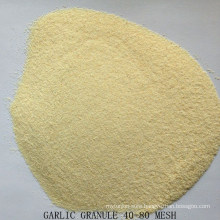 Dehydrated Dried 100-120mesh Garlic Powder